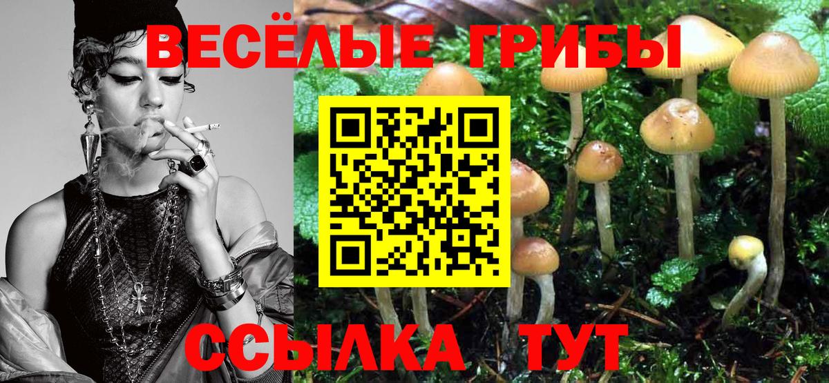 Галлюциногенные грибы прущие грибы  Вход с VPN  Волгодонск  Псилоцибиновые грибы мицелий 